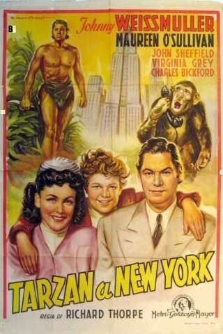 Tarzan a New York